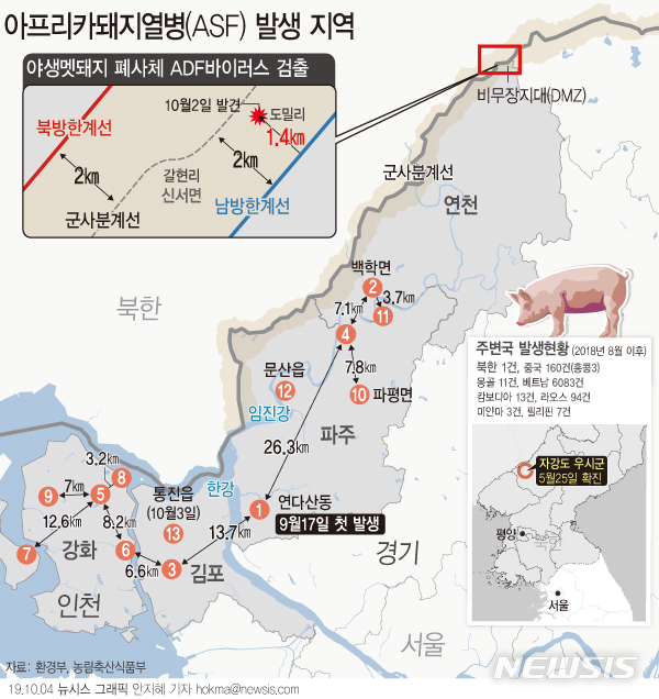 【서울=뉴시스】환경부는 지난 2일 경경기 연천군 비무장지대(DMZ)에서 발견된 멧돼지 사체의 혈액에서 아프리카돼지열병 바이러스가 확인됐다고 3일 밝혔다. 멧돼지 사체가 발견된 곳은 DMZ 우리측 남방한계선 전방 약 1.4㎞ 지점이다. (그래픽=안지혜 기자)  hokma@newsis.com 