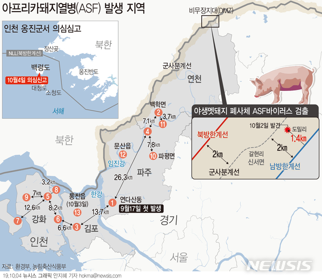 【서울=뉴시스】농림축산식품부는 4일 인천 옹진군 백령면 소재 양돈 농가에서 아프리카돼지열병(ASF) 의심되는 농가가 나왔다고 밝혔다. (그래픽=안지혜 기자) hokma@newsis.com