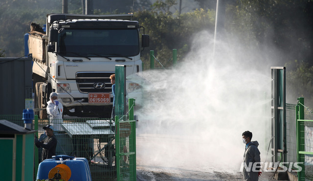 충남 보령시 돼지열병 의심농가 '음성' 판정