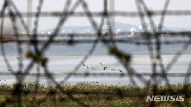 【파주=뉴시스】김선웅 기자 = 경기도 비무장지대(DMZ) 내 야생맷돼지 폐사체에서 아프리카도지열병 바이러스가 검출되며 북한에서의 유입 가능성이 커지는 가운데 4일 오후 경기 파주시에서 철책 너머로 개성 일대가 보이고 있다. 2019.10.04.&nbsp; mangusta@newsis.com