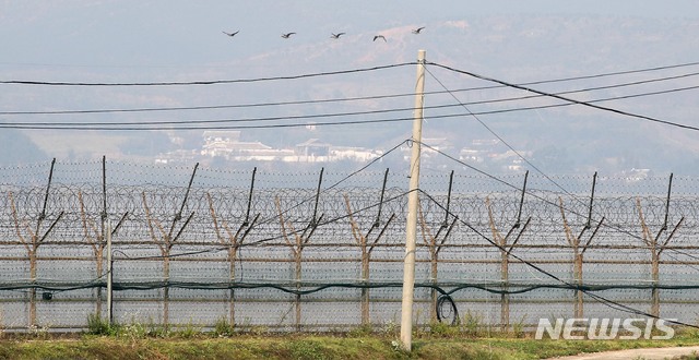 【파주=뉴시스】김선웅 기자 = 경기도 비무장지대(DMZ) 내 야생맷돼지 폐사체에서 아프리카돼지열병 바이러스가 검출되며 북한에서의 유입 가능성이 커지는 가운데 4일 오후 경기 파주시에서 철책 너머로 개성 일대가 보이고 있다. 2019.10.04. mangusta@newsis.com