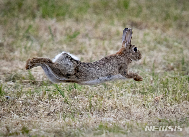 [원추 오늘의운세]토끼띠, 북쪽 피하고 손재수 조심하세요