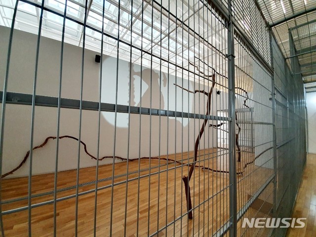 【서울=뉴시스】홍영인, 사당B-새의 초상을 그리려면, 2019. 사진은 국립현대미술관 제공.