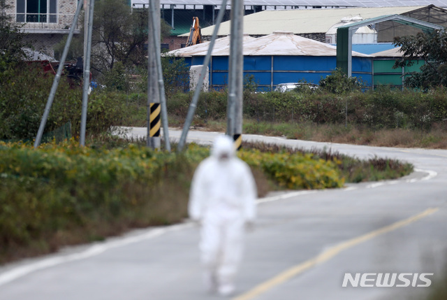 【연천=뉴시스】이영환 기자 = 10일 오전 경기도 연천군 신서면의 한 양돈농장에서 아프리카돼지열병 발생해 연천군 방역팀 관계자들이 출입을 통제하며 살처분 준비작업을 하고 있다. 2019.10.10.&nbsp; 20hwan@newsis.com
