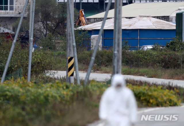 【연천=뉴시스】이영환 기자 = 10일 오전 경기도 연천군 신서면의 한 양돈농장에서 아프리카돼지열병 발생해 연천군 방역팀 관계자들이 출입을 통제하며 살처분 준비작업을 하고 있다. 2019.10.10. 20hwan@newsis.com