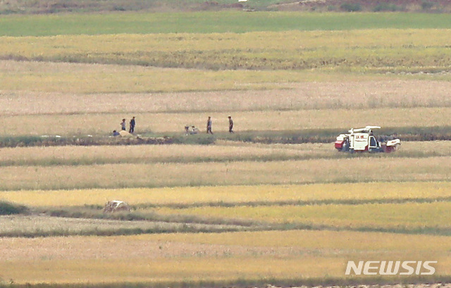 【파주=뉴시스】이영환 기자 = 북한 노동당 창건 74주년인 10일 오후 경기 파주시 오두산전망대에서 바라본 북한 황해북도 개풍군 마을 주민들이 콤바인을 이용하여 추수하고 있다. 2019.10.10. 20hwan@newsis.com