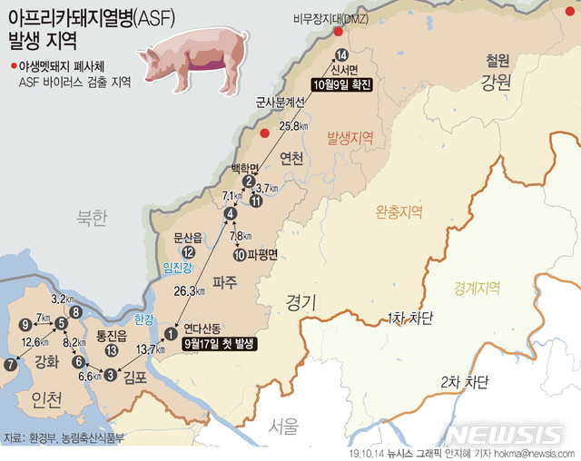 【서울=뉴시스】농림축산식품부가 철원·연천 내 일부 지역을 '집중사냥지역'으로 설정, 총기를 이용한 야생멧돼지 포획을 허용하기로 했다. 최근 야생멧돼지에서 5마리째 아프리카돼지열병(ASF) 바이러스가 검출된 데 따른 긴급조치다. (그래픽=안지혜 기자) hokma@newsis.com