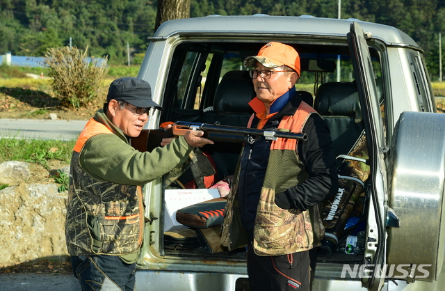 【화천=뉴시스】 한윤식 기자 = 15일 오전 강원 화천군 야생생물관리협회 소속 베테랑 엽사들이 화천읍내에서 야생 멧돼지 포획에 앞서 총기를 점검하고 있다. 2019.10.15. (사진=화천군청 제공)nssysh@newsis.com 