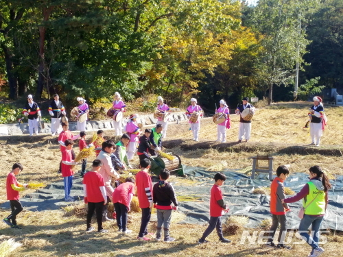【서울=뉴시스】지난해 서울 도봉구에서 열린 전통 벼베기 체험. 2019.10.16. (사진=도봉구 제공)