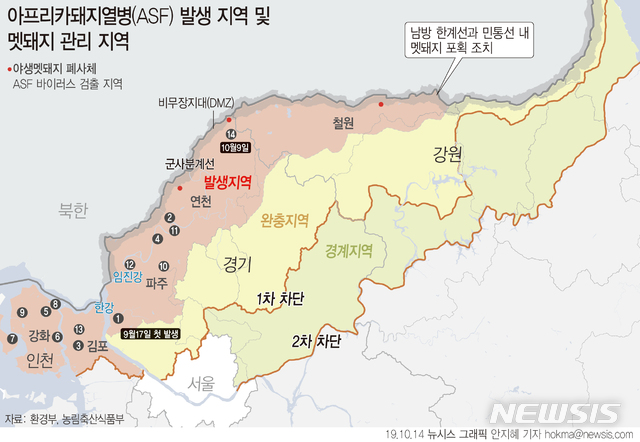 돼지열병, 추가확산 없이 8일째…정부, '멧돼지 전쟁' 속도