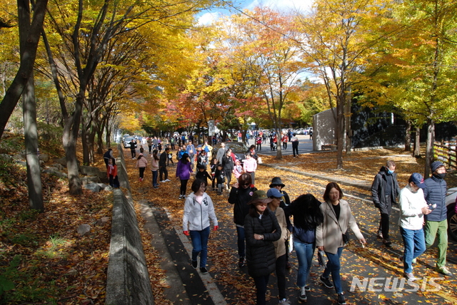 【옥천=뉴시스】2018년 2회 장령산 치유의 숲 건강 걷기대회 출발 모습.(사진=옥천군 제공) photo@newsis.com