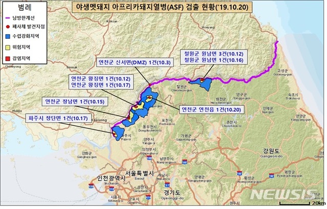 【세종=뉴시스】야생멧돼지의 아프리카돼지열병(ASF) 검출 현황. 2019.10.20. (자료= 환경부 제공)