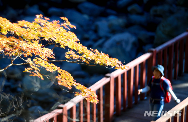 오늘 비교적 선선한 가을날…경상·제주 등에는 비