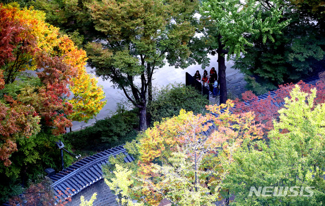 【서울=뉴시스】박미소 기자 = 단풍이 곱게 물들어 간다는 절기상 상강인 24일 서울 중구 덕수궁 돌담길에 은행잎과 단풍잎이 물들어 있다.2019.10.24. misocamera@newsis.com