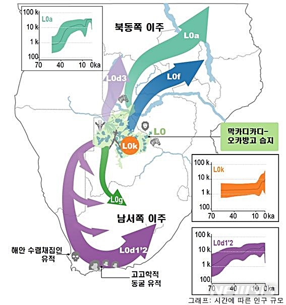 【대전=뉴시스】 김양수 기자 = L0 그룹의 하위 계통과 이주 지도. L0 미토게놈(미토콘드리아 DNA) 그룹은 인류의 가장 오래된 뿌리의 직계 혈통으로 연구진은 L0 하위 계통의 분화 연대표를 기후연구와 결합해 이주시기와 경로를 밝혔다.2019.10.29(사진=IBS 제공)  photo@newsis.com 