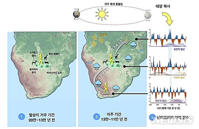 【대전=뉴시스】 김양수 기자 = 남아프리카 강우량과 최초 이주의 상관관계. 20만년 전부터 13만년 전까지 현생인류는 칼라하리 지역의 대규모 습지에 살았다. 약 13만년 전 지구 궤도와 태양 복사로 인해 발상지의 북동쪽으로 강수와 식생이 증가하면서 먼저 북동쪽으로 이주가 가능해졌고(⓶), 이어 약 2만년 뒤에는 녹지축이 남서쪽으로 개방돼 남아프리카 남서 해안쪽으로 이주가 가능해졌다. 한 그룹이 발상지에 남았고 그들의 후손 일부(Kalahari Khoesan)는 여전히 칼라하리에 살고 있다.2019.10.29(사진=IBS 제공) photo@newsis.com