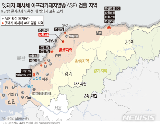 【서울=뉴시스】국립환경과학원은 경기 연천군에서 발견된 야생멧돼지 폐사체에서 아프리카돼지열병(ASF) 바이러스가 검출됐다고 29일 밝혔다. ASF 바이러스가 검출된 멧돼지 개체 수는 16마리로 늘었다. (그래픽=안지혜 기자) hokma@newsis.com