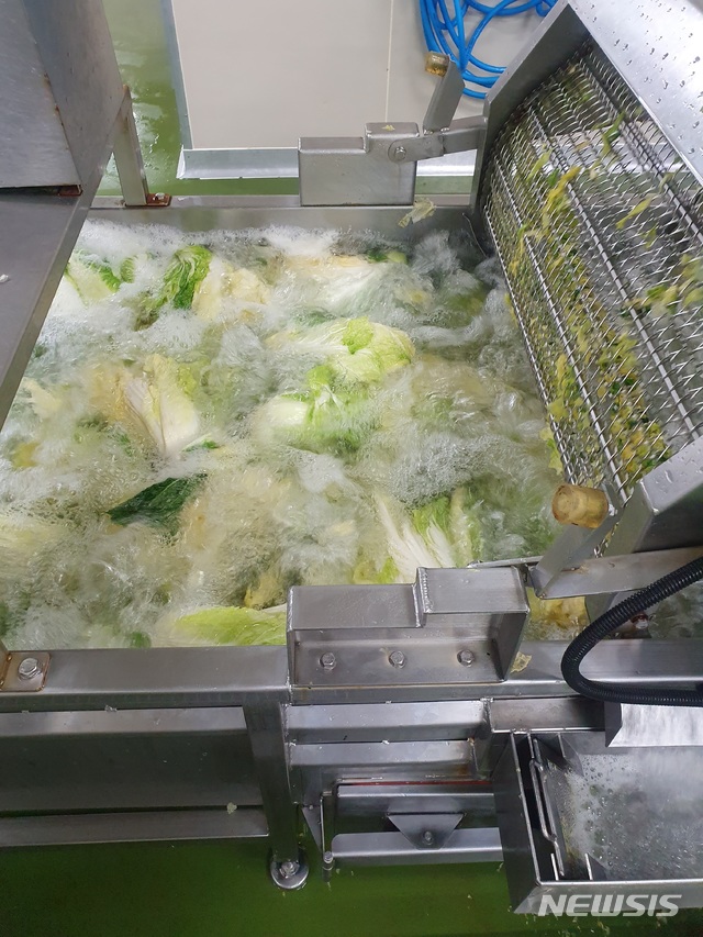 【서울=뉴시스】아워홈 제천 김치 공장에서 배추 세척 작업이 이뤄지고 있다. 흐르는 물에 공기를 주입해 보다 효율적으로 배추의 이물질과 소금기가 제거된다.