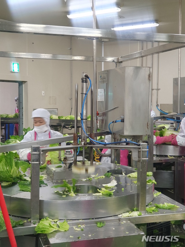 【서울=뉴시스】아워홈 제천 김치 공장에서 배추 심 제거 작업이 진행 중이다. 이 설비는 아워홈이 업계에서 유일하게 보유하고 있다.