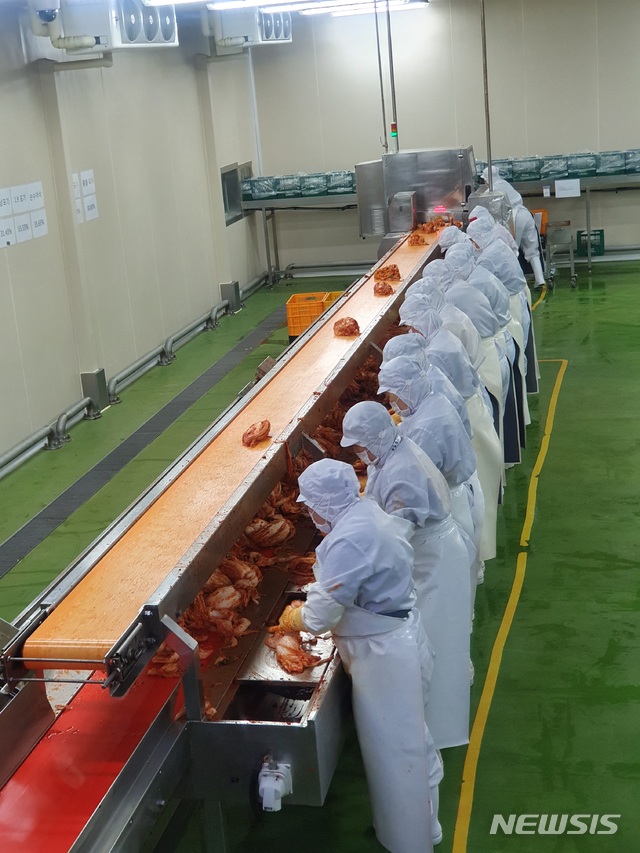 【서울=뉴시스】아워홈 제천 김치공장에서 속 넣기와 양념 작업을 하고있다. 이 공장에서 유일하게 수작업이 이뤄지는 공정이다.