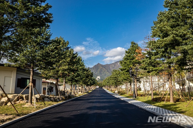【서울=뉴시스】켄싱턴리조트 설악밸리 '메타세콰이어 로드'