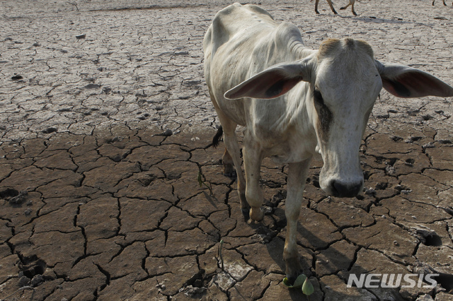 [원추 오늘의운세]소띠, 욕심 부리지 말고 본분 지키세요 