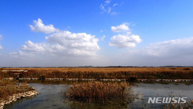 【화성=뉴시스】 화성호 습지