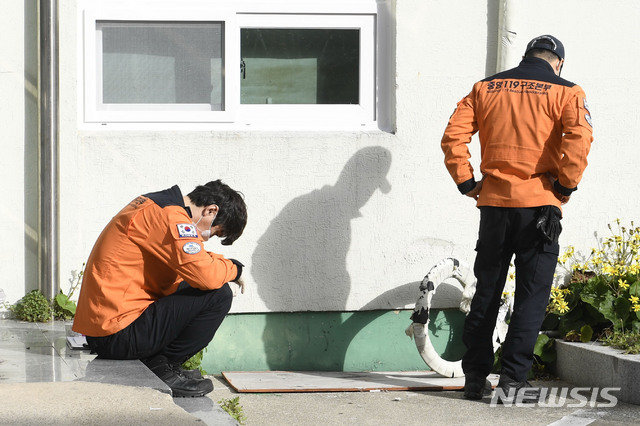 【울릉=뉴시스】이무열 기자 = 3일 오전 경북 울릉군 보건의료원에서 독도 인근 해상에 추락한 소방헬기 시신을 이송한 뒤 중앙119구조본부 대원들이 오열하고 있다. 2019.11.03.lmy@newsis.com