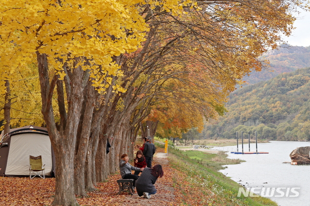 【영동=뉴시스】충북 영동 양산팔경 금강둘레길의 가을철 백미인 단풍 물든 송호관광지.(사진=영동군 제공) photo@newsis.com