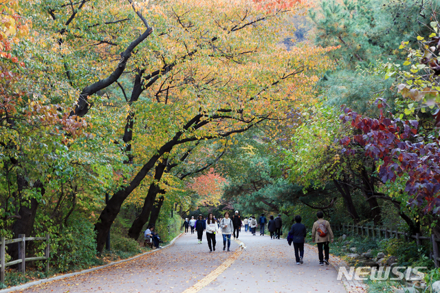 【서울=뉴시스】 남산둘레길 (사진=서울시)