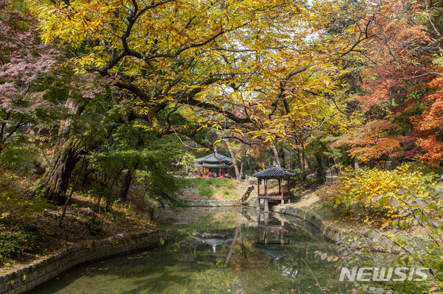 【서울=뉴시스】 창덕궁 후원 (사진=서울시)