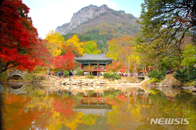 【장성=뉴시스】 이창우 기자 = 5일 내장산국립공원 백암산 쌍계류가 단풍으로 물들어 가고 있다. (사진=내장산국립공원백암사무소 제공) 2019.11.05. photo@newsis.com