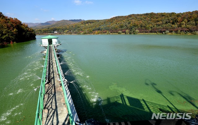[나주=뉴시스] 녹조 뒤덮은 저수지. (사진=뉴시스 DB). photo@newsis.com 