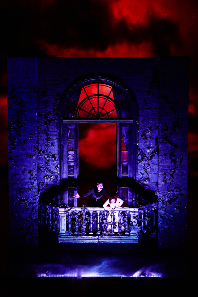 뮤지컬 '레베카' 2017년 신영숙 공연 장면 (사진 = EMK뮤지컬컴퍼니 제공) 