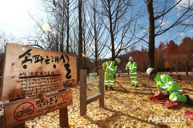 [서울=뉴시스] 남이섬 송파은행나무길. (사진=송파구 제공) 2019.11.12. photo@newsis.com