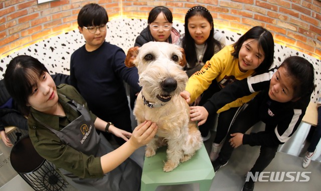 동물 학대해 죽이면 징역 3년…위험한 개엔 안락사 명령(종합)