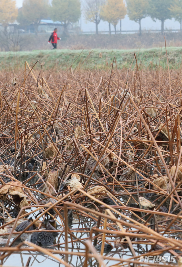 수능날 아침에 곳곳 한파…서울 체감 영하 9도