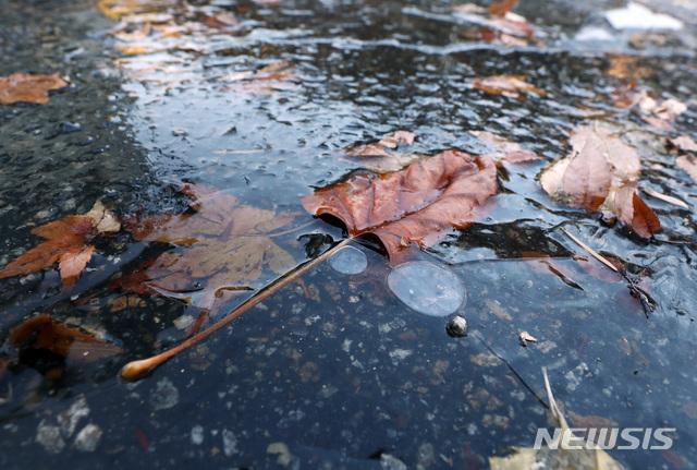 【서울=뉴시스】이영환 기자 = 올 가을 들어 가장 추운 날씨를 보인 지난 14일 오전 서울 서초구 서울중앙지법 주차장에 얼음이 얼어 있다. 2019.11.14. 20hwan@newsis.com