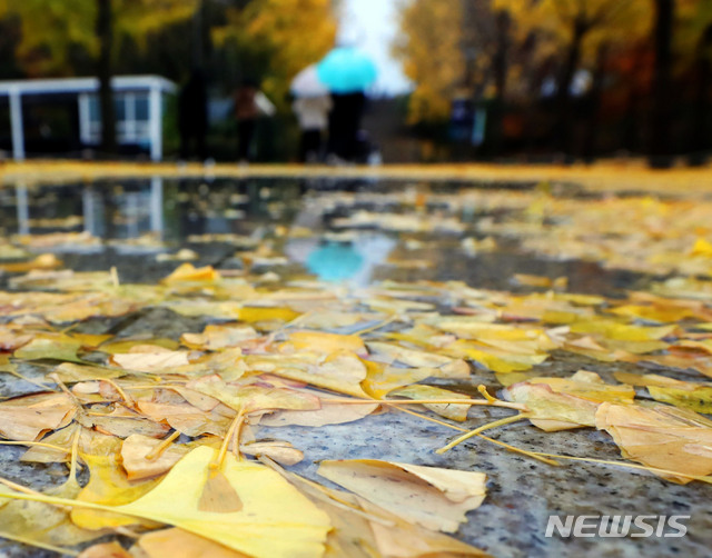 전국 종일 비소식…돌풍에 천둥·번개 동반