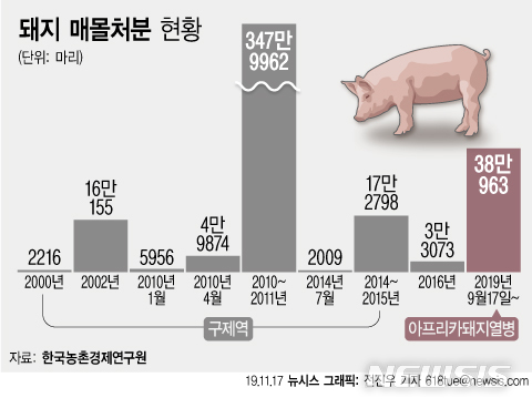 【서울=뉴시스】한국농촌경제연구원에 따르면 2000년대 들어 구제역으로 가장 많은 돼지가 희생된 때는 구제역 사태가 벌어진 2010년 10월~2011년 11월(347만9962마리) 다음으로 아프리카돼지열병(ASF)이 벌어진 올해 9월17일 부터 현재까지(38만963마리) 이다. 다음은 2000년 이후 돼지 매몰처분 현황. (그래픽=전진우 기자) 618tue@newsis.com