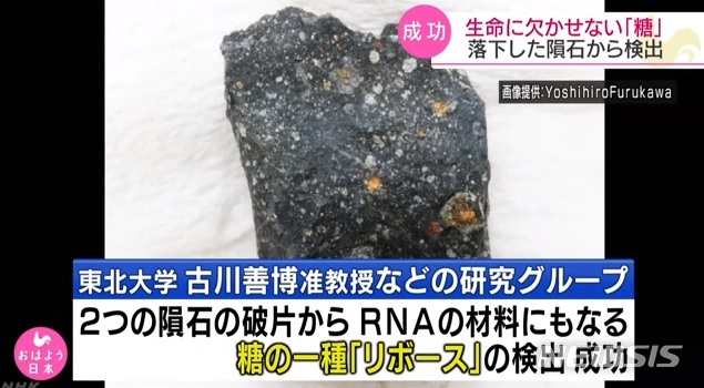 [서울=뉴시스]일본 도호쿠(東北大)대학, 홋카이도(北海道) 대학, 해양연구개발기구 등 연구팀이 호주와 모로코 등에서 발견된 3개 운석에서 리보핵산(RNA)에 필수적 재료인 '당(糖)'을 발견했다. 해당 내용이 실린 논문은 19일 국립과학원회보(PNAS)에 게재된다. 사진은 NHK뉴스 갈무리. 2019.11.19.