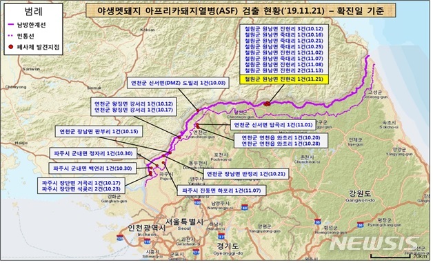 [세종=뉴시스]야생 멧돼지의 아프리카돼지열병(ASF) 검출 현황. 2019.11.21. (자료= 환경부 제공)