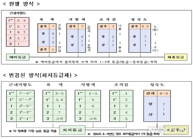 [세종=뉴시스]쇠고기 육질 등급 판정 방식 변경 내용. (자료 = 농림축산식품부 제공)