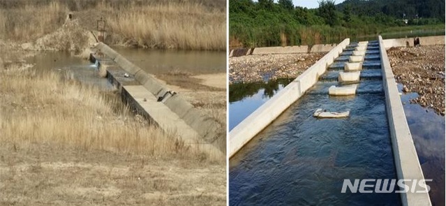 [안동=뉴시스] 울진 왕피천 사업 전(왼쪽)과 후. (사진=경북도 제공) 2019.11.26