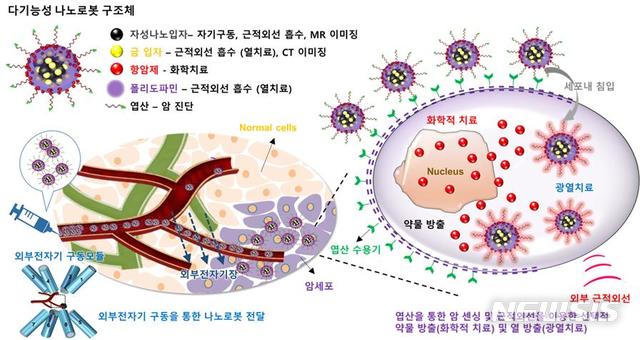 [광주=뉴시스] 송창헌 기자 = 사람의 몸속에 들어가 덩어리진 암(고형암)을 진단, 치료할 수 있는 머리카락 1000분의 1 크기의 초미세 의료로봇이 전남대 연구진에 의해 개발됐다고 대학측이 26일 밝혔다. 치료용 다기능 나노로봇 개념도. (사진=전남대 제공) 2019.11.26photo@newsis.com