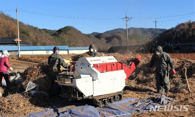 단양 농기계 인력지원단 작업 지원. (사진=뉴시스DB)