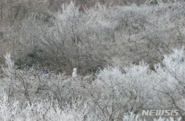 [제주=뉴시스]우장호 기자 = 대설(大雪) 절기를 하루 앞둔 6일 제주 한라산 1100고지 습지를 찾은 관광객들이 활짝핀 상고대를 감상하며 겨울 정취를 만끽하고 있다. 상고대는 영하의 온도에서 대기 중에 있는 안개·서리 등의 미세한 물방울이 나무 등의 차가워진 물체와 만나 생기는 것으로 '나무서리'라고도 부른다. 2019.12.06. woo1223@newsis.com