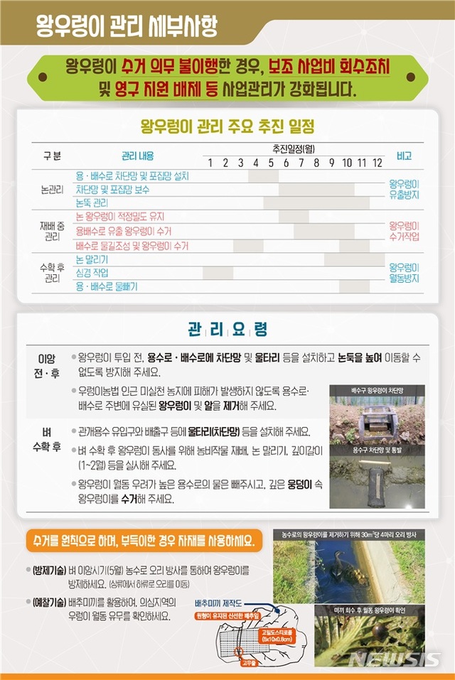 [세종=뉴시스]왕우렁이 관리 홍보 리플릿. (자료 = 농림축산식품부 제공) 