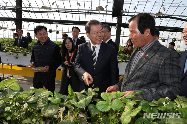[완주=뉴시스]박영태 기자 = 문재인 대통령이 12일 오전 전북 완주군 국립원예특작과학원에서 딸기 쿨링하우스를 찾아 시설을 둘러보고 있다. 2019.12.12. since1999@newsis.com