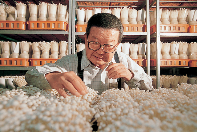 [서울=뉴시스] 은퇴 후 버섯 재배를 연구했던 구자경 LG 명예회장. 사진 LG